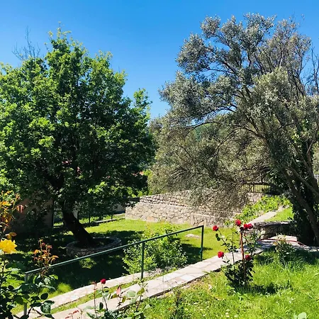 Vila Oaza Markovici 3* Budva