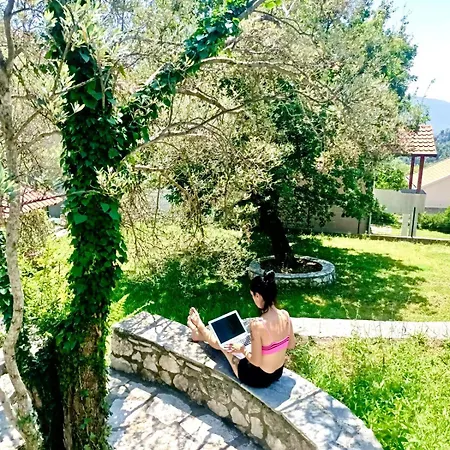 ホテル Vila Oaza Markovici