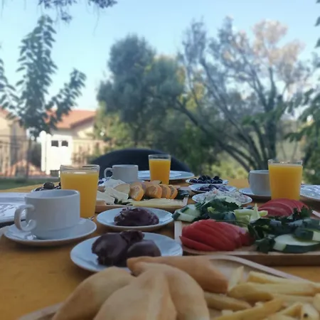Vila Oaza Markovici 3*